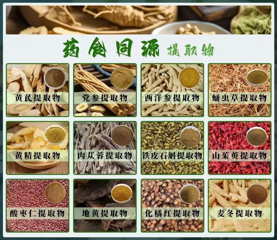 植物提取物在现代保健食品中的核心价值与机遇